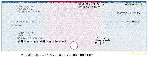 Check Payment Sample